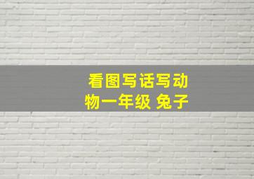 看图写话写动物一年级 兔子